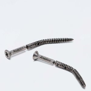 Screw Earrings